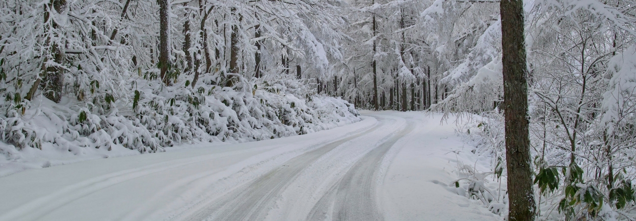 Winding snowy forest road.