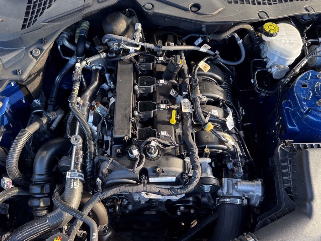 2022 Ford Mustang EcoBoost