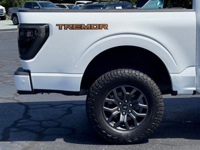 2021 Ford F-150 Tremor