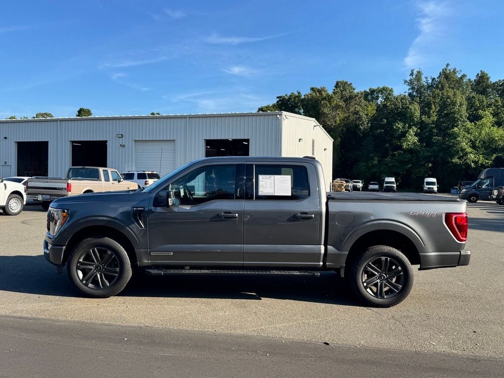 2023 Ford F-150 XLT