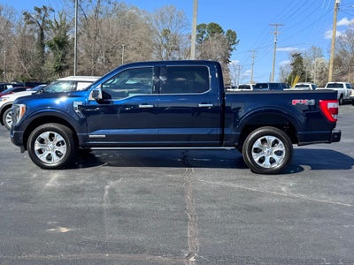 2023 Ford F-150 Platinum