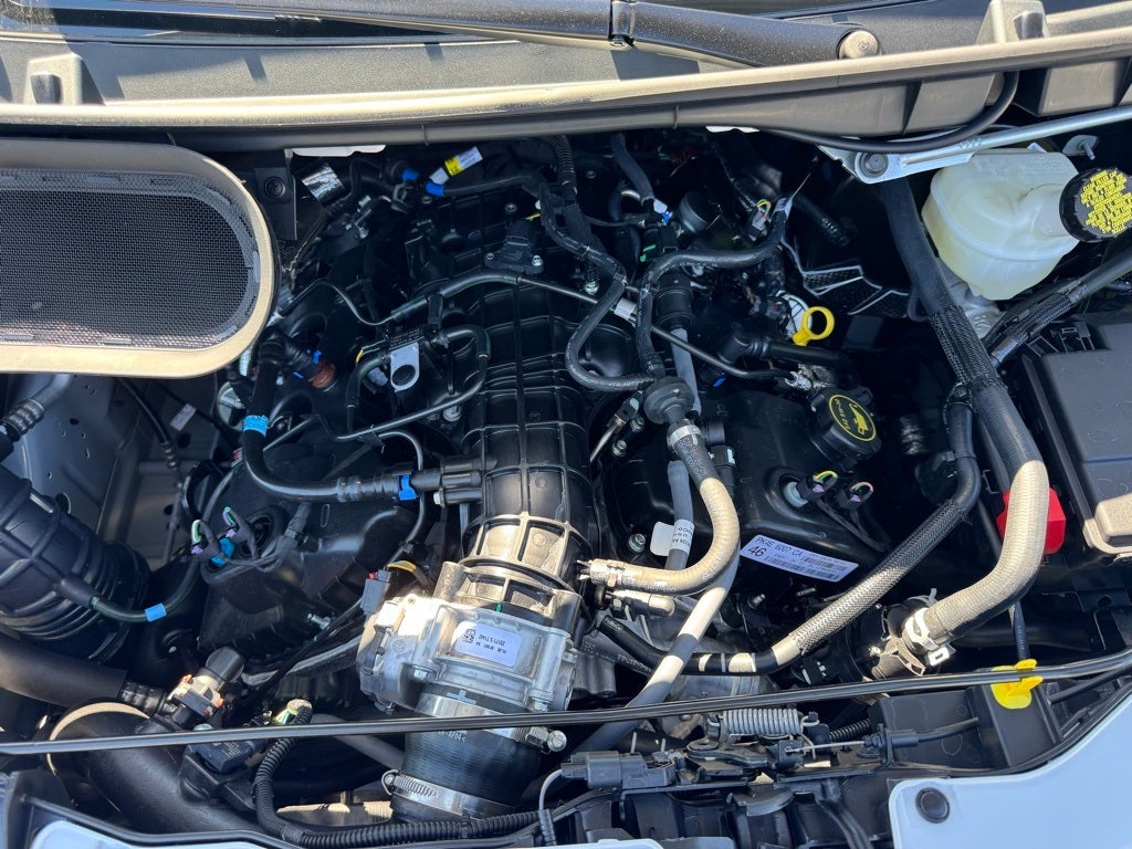 2025 Ford Transit-150 Base