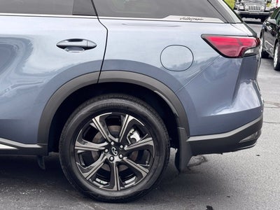 2026 INFINITI QX60 Autograph