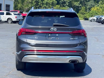 2023 Hyundai Santa Fe Calligraphy