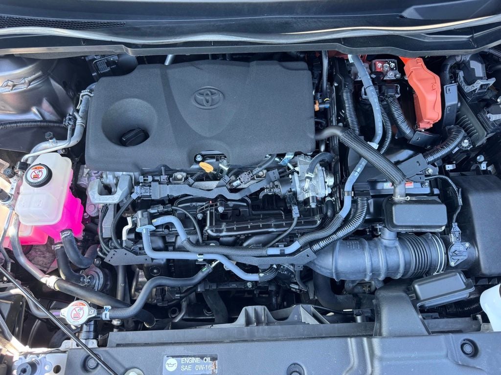 2023 Toyota Sienna Platinum 7 Passenger