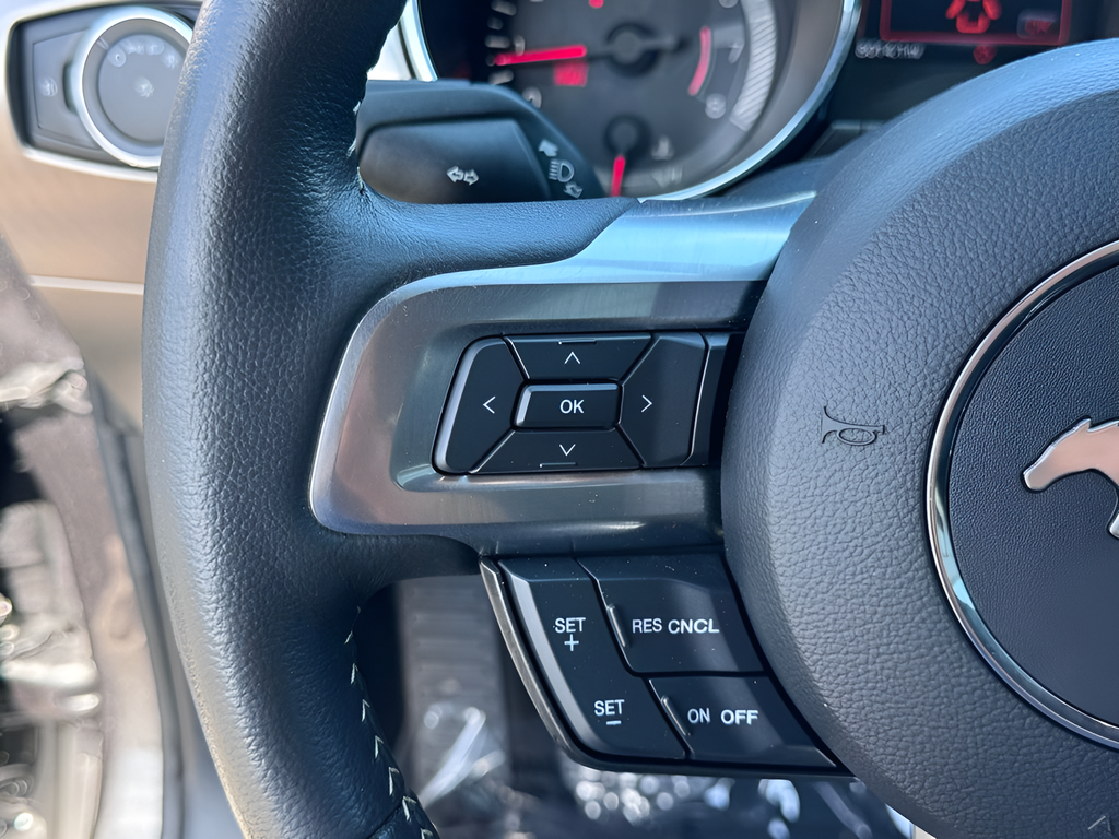 2015 Ford Mustang GT Premium 50th Anniversary