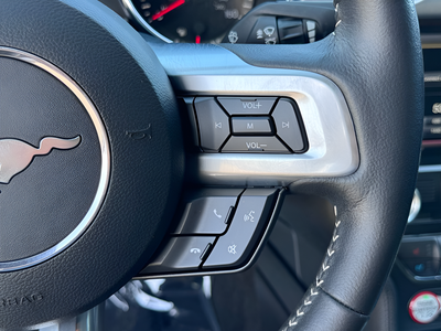 2015 Ford Mustang GT Premium 50th Anniversary