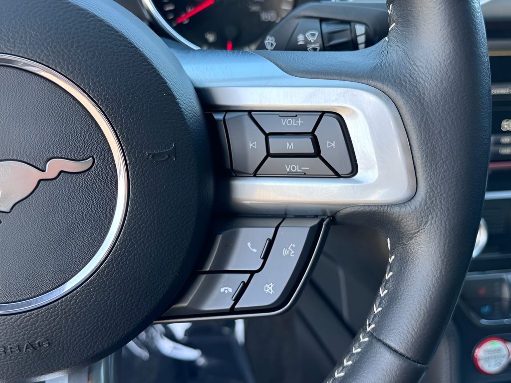 2015 Ford Mustang GT Premium 50th Anniversary