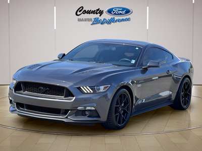 2015 Ford Mustang GT Premium 50th Anniversary