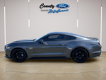 2015 Ford Mustang GT Premium 50th Anniversary