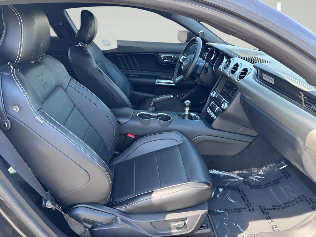 2015 Ford Mustang GT Premium 50th Anniversary