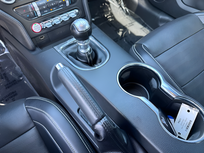 2015 Ford Mustang GT Premium 50th Anniversary