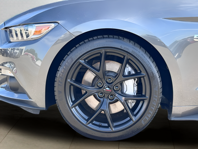 2015 Ford Mustang GT Premium 50th Anniversary