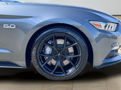 2015 Ford Mustang GT Premium 50th Anniversary