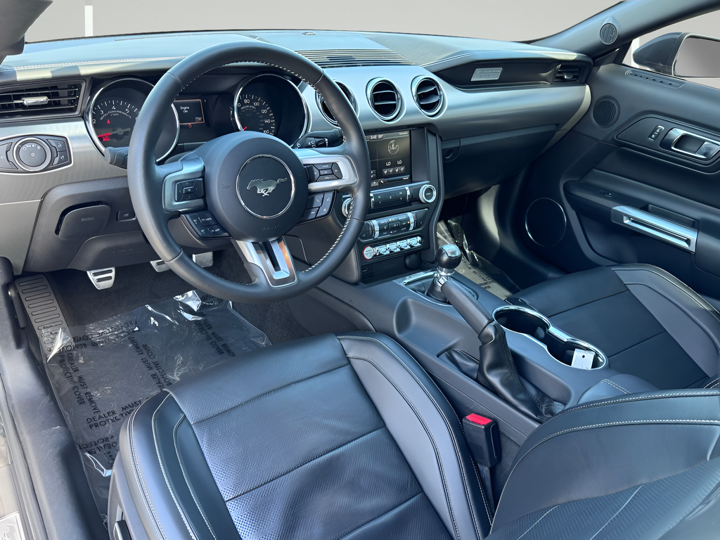 2015 Ford Mustang GT Premium 50th Anniversary