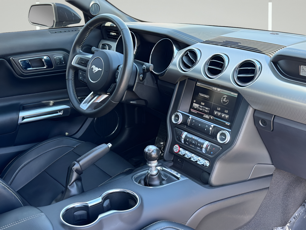 2015 Ford Mustang GT Premium 50th Anniversary