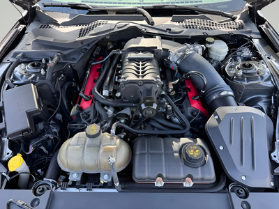 2015 Ford Mustang GT Premium 50th Anniversary