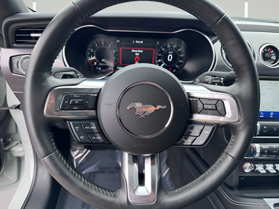 2023 Ford Mustang Mach 1