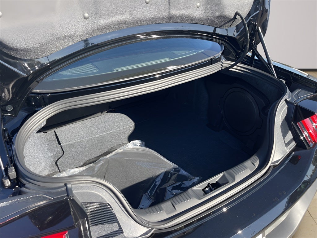 2024 Ford Mustang Dark Horse