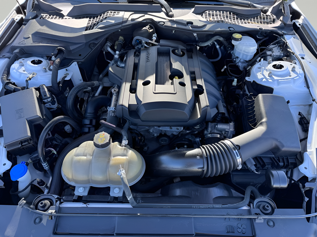 2020 Ford Mustang EcoBoost