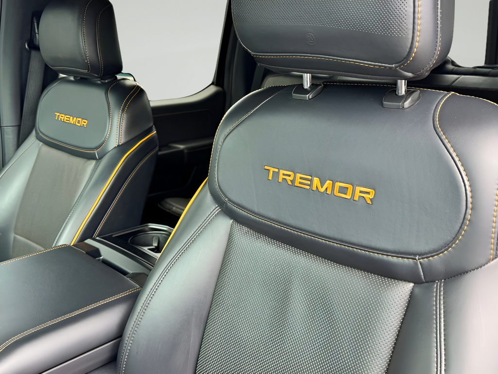 2021 Ford F-150 Tremor