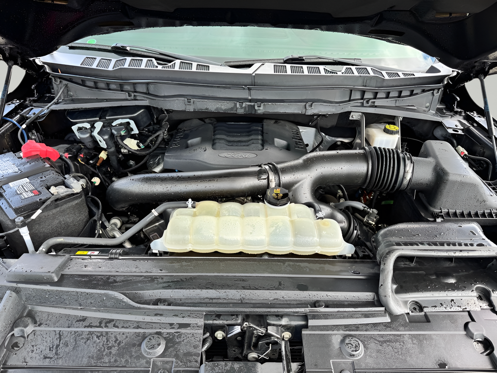 2021 Ford F-150 Tremor