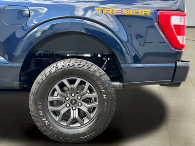2022 Ford F-150 Tremor