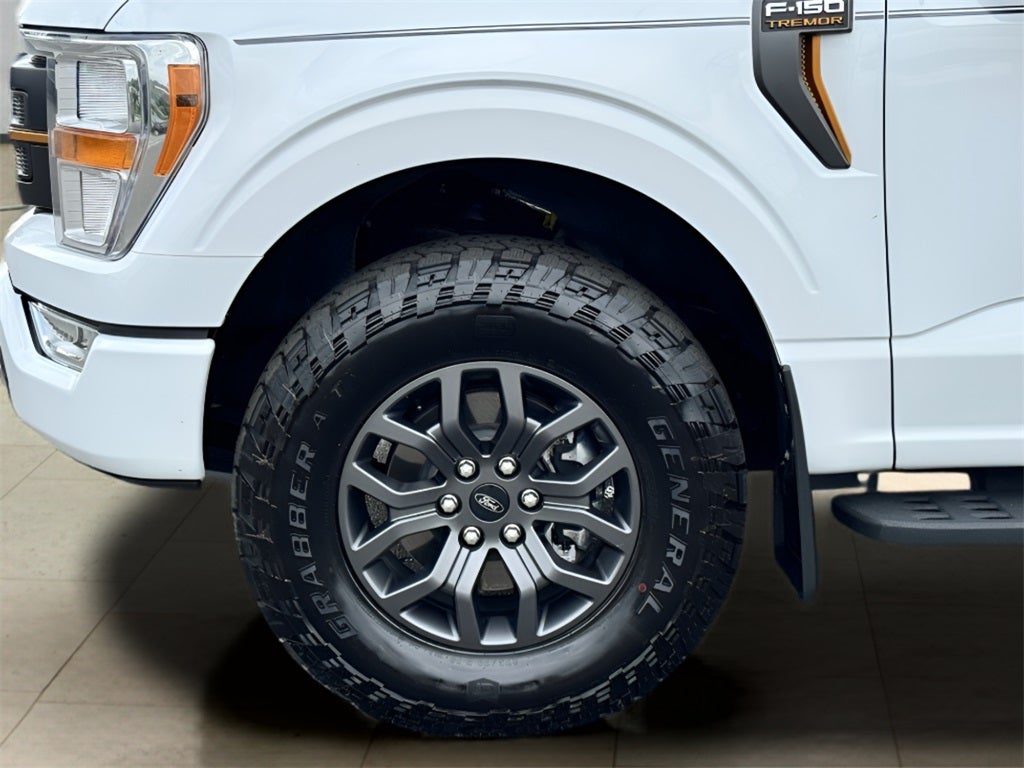 2021 Ford F-150 Tremor