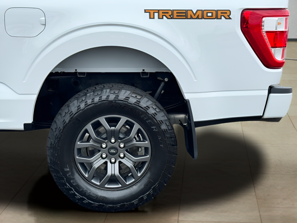 2021 Ford F-150 Tremor