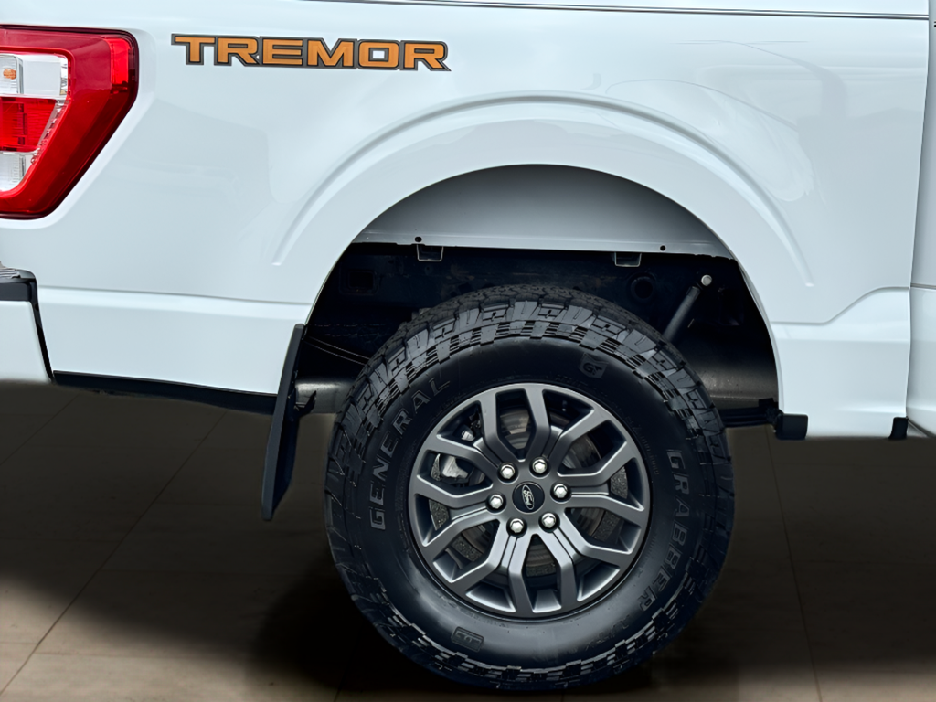 2021 Ford F-150 Tremor