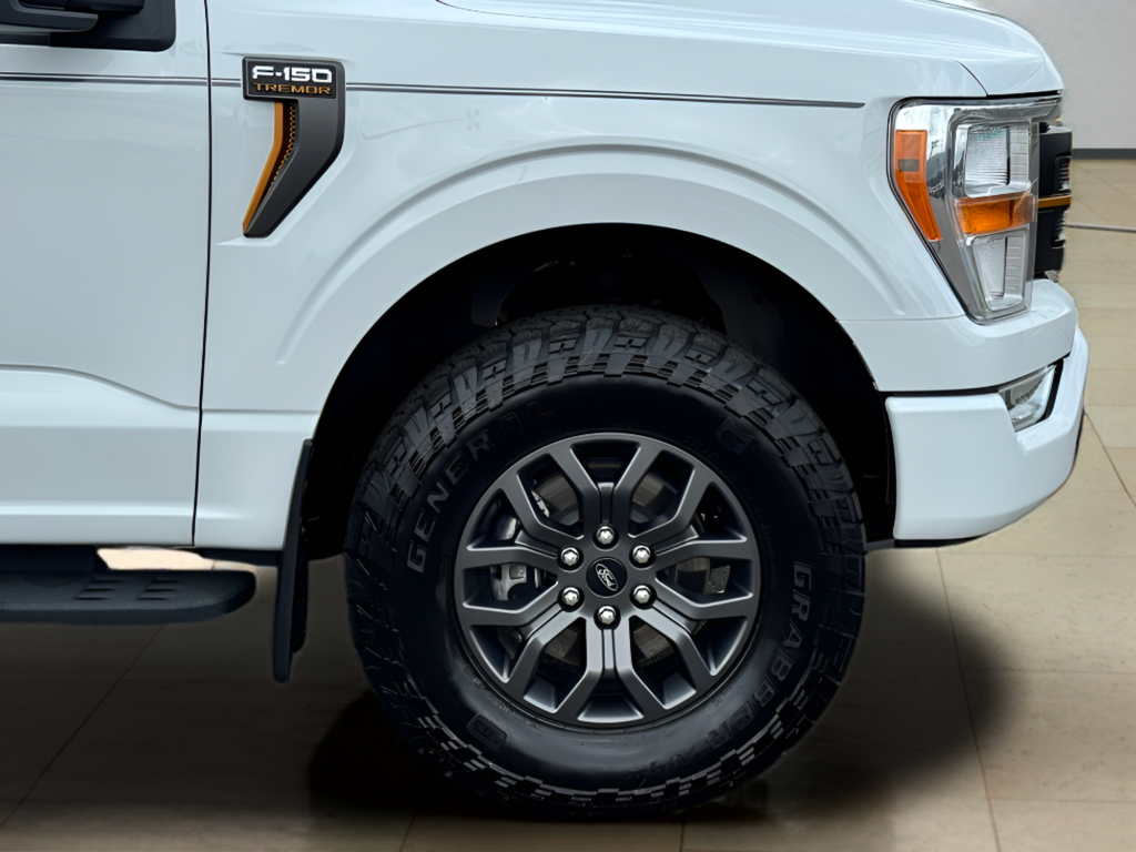 2021 Ford F-150 Tremor