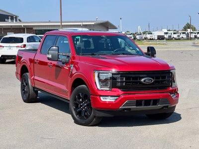 2023 Ford F-150 Platinum