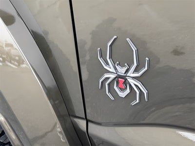 2025 Ford F-150 Raptor 550HP BLACK WIDOW