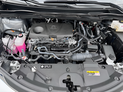 2025 Toyota Sienna LE 8 Passenger