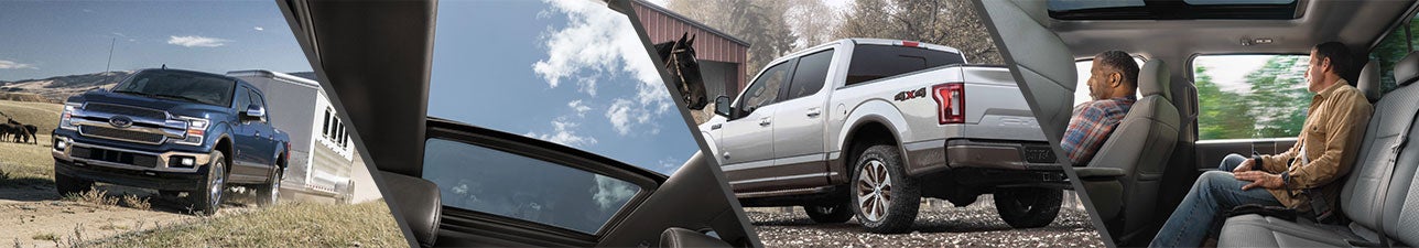 New 2019 Ford F-150 for Sale Burlington NC